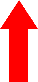 image_21.jpg